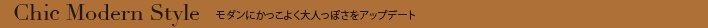 Chic Modern Style モダンにかっこよく大人っぽさをアップデート